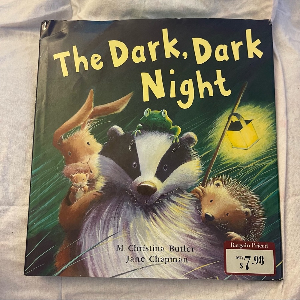 The Dark, Dark Night Children's Book